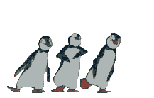 pinguini ballerini.gif